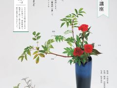 -今日陶艺(富力广场店)