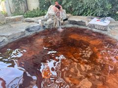 -中家鑫园温泉酒店鑫悦汤泉