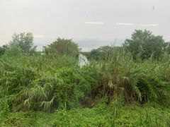 -南沙十九涌渔人码头-南门