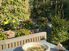 -龙井壹号·茶缘山景宴(龙井村店)