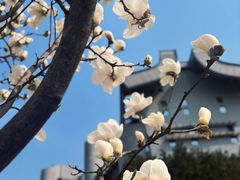 -首都图书馆-咖啡厅