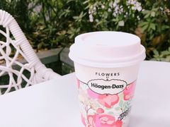 -哈根达斯(武汉天地店)