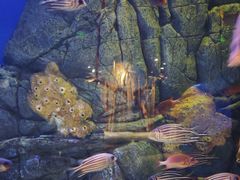 -成都浩海立方海洋公园