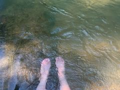 -广州白江湖森林公园