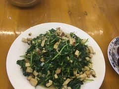 马兰头-菜当家