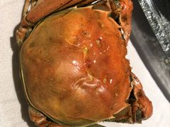 -湯記傳菜