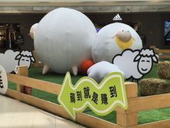 -阳光天地