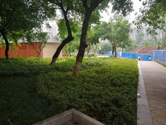 -沐仙湖湿地公园