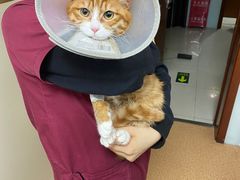 -宠颐生中康贝怡动物医院