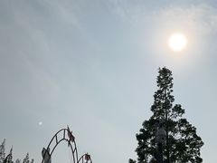 -黄海国家森林公园