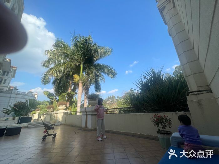 巅峰减重高端减肥训练营(惠州店)图片