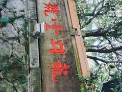 -龙井壹号·茶缘山景宴(龙井村店)