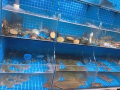 -宾朋海鲜饭庄(兴海路店)