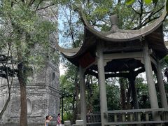 -江心屿景区