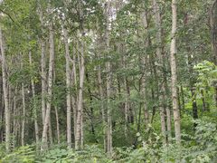 -长春市南湖公园