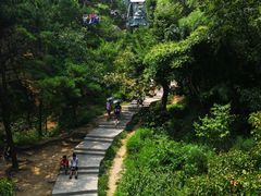 -崂山仰口游览区