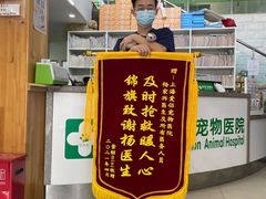 -爱侣宠医·鹦鹉专科·小型哺乳类·异宠专科(灵石路店)