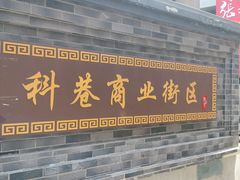 -陶记正宗德州扒鸡(科巷店)