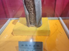 -上海昆虫博物馆