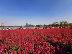 -顺峰山公园