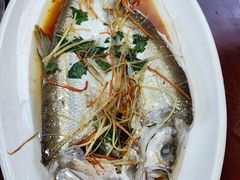 -丹水桥地锅鱼·翘嘴鲌·地方特色全鱼宴(丹江口大坝店)