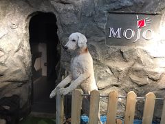 -MOJO密室逃脱(中街旗舰店)