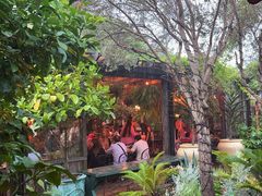 -The Grounds of Alexandria