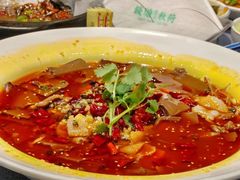 -钱塘秋荷(开鲁路店)