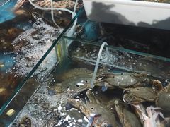 水产区-羊栏农贸市场(羊新路店)
