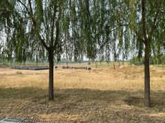 -兴安湖生态运动公园