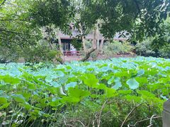 -成都武侯祠博物馆