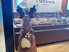 -Laderach 莱德拉(上海环贸iapm店)