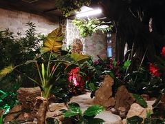 -泉城欧乐堡戏水湾艺术养生温泉