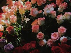 -循礼门鲜花花市(武汉循礼门店)