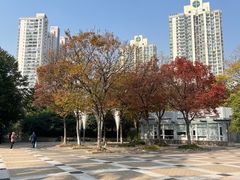 -苏州河梦清园环保主题公园