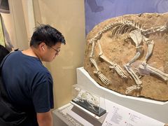 -国家自然博物馆