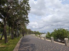 -深圳湾公园(南山区)