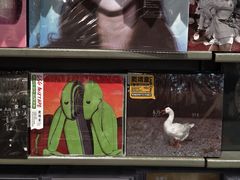 -Hi Fi Acoustic 梵香禅韵·色声香味