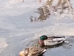 -元大都城垣遗址公园