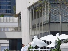 -深圳湾万象城(南山店)