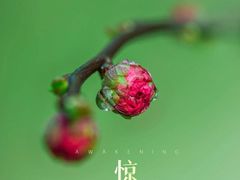 -武汉融通中南花园酒店·戈美西餐厅