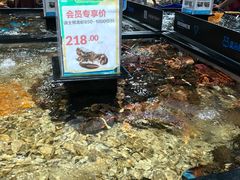 -盒马鲜生(曜一城店)