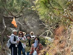 -彩色沙林风景区