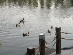 外景-上海怡沁园度假酒店