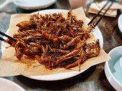 -洪沟崖张记炒鸡店(聚才路店)