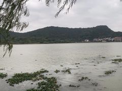 -鸣鹤古镇