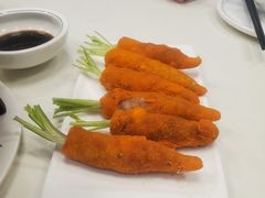 -丁老爷子苏香圆