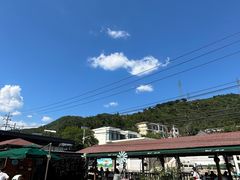 -京北渔家傲