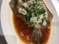 葱油多宝鱼-津菜典藏河西店(水上店)