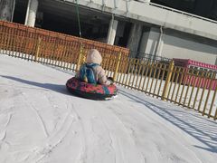-沈阳奥体冰雪嘉年华